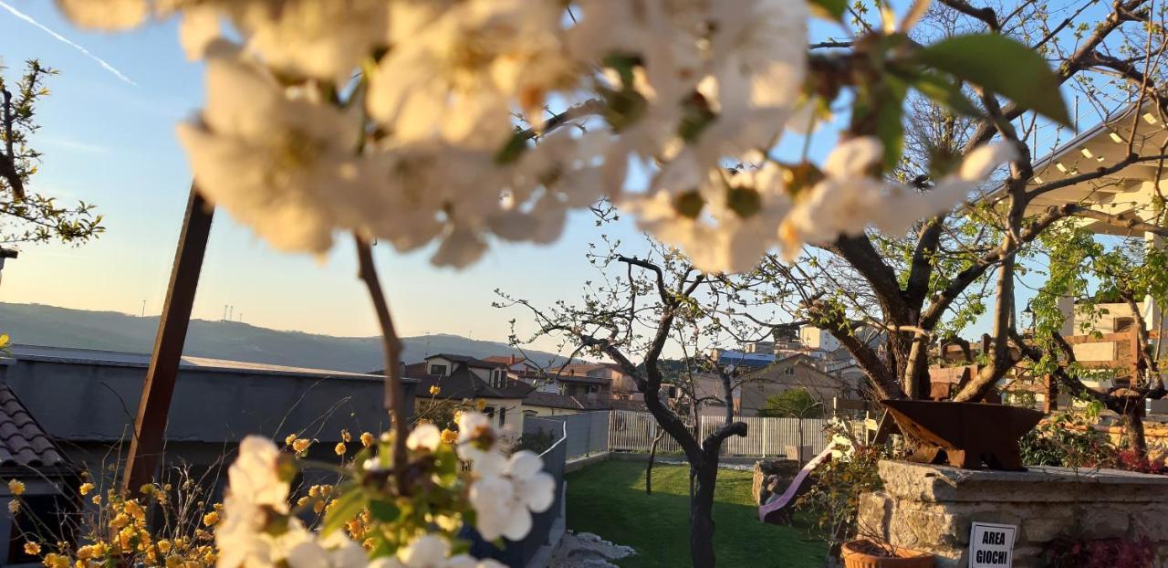 Albergo B&B Antica Trattoria Bacco Circello Dış mekan fotoğraf